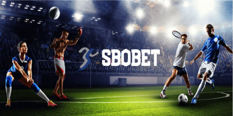 Sự hợp tác chiến lược của Sbobet Vipwin mang đến trải nghiệm tối ưu cho người chơi