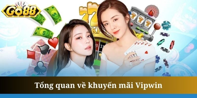 Khuyến mãi Vipwin là hoạt động nhận được nhiều sự chú ý