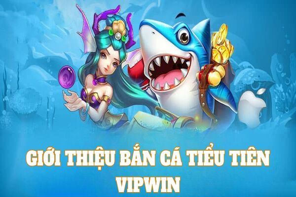 Giới thiệu đôi nét về sảnh bắn cá tiểu tiên trực tuyến Vipwin