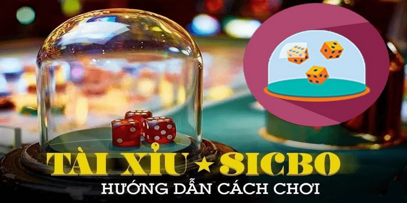 Luật chơi game tài xỉu Vipwin bạn cần biết